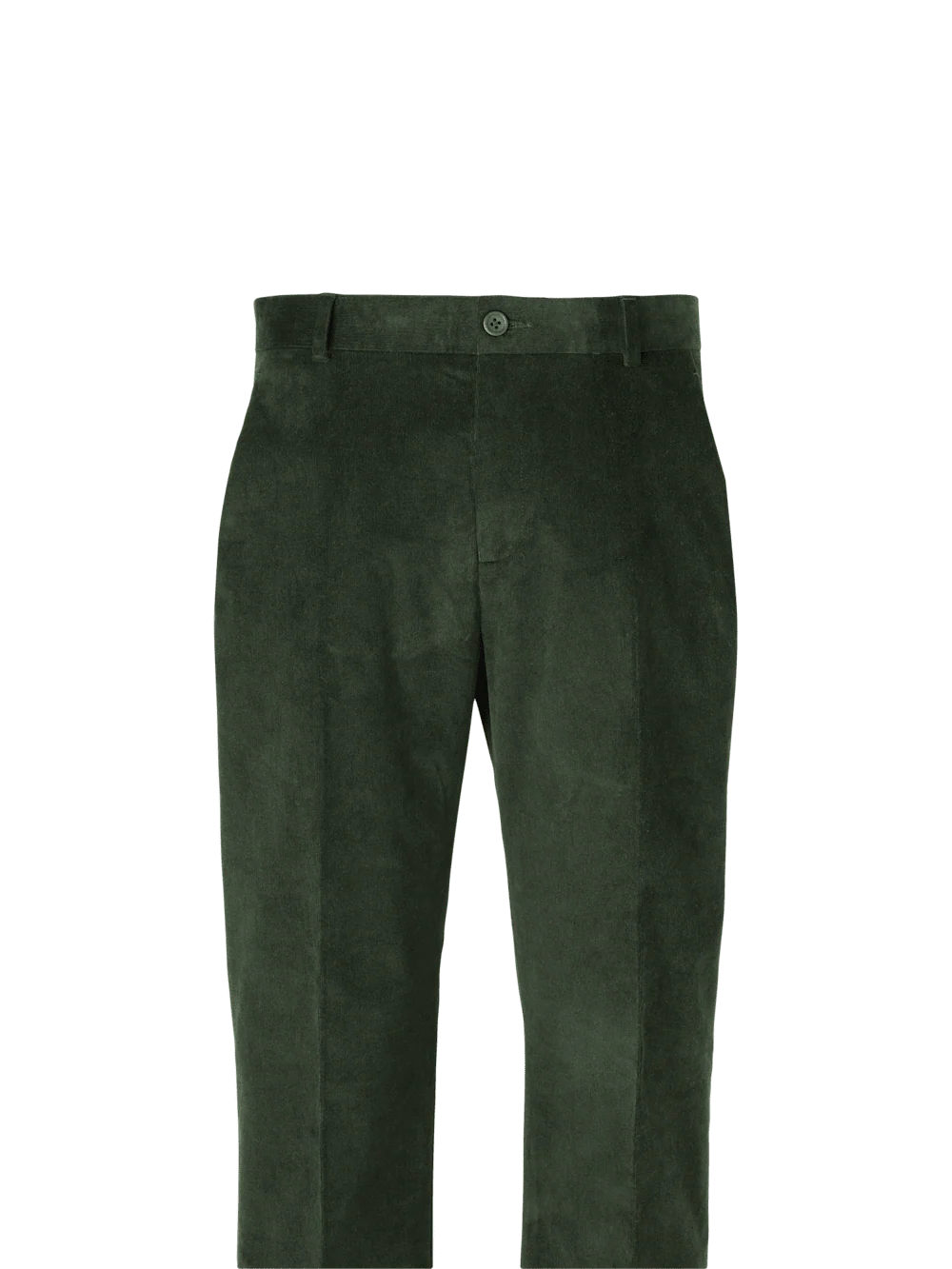 Cotton Stretch Corduroy Pants - Blue - Image 2
