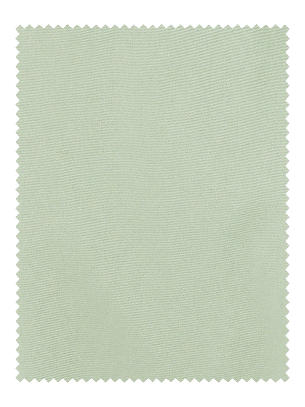 Cotton Stretch Twill Pants - Moss - Image 6